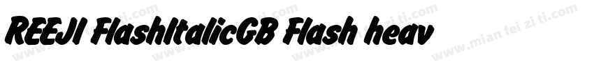 REEJI FlashItalicGB Flash heavy字体转换